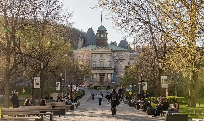 McGill Pain Day 2025